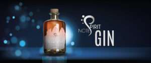 Spirit Notes il Gin Enrosadira